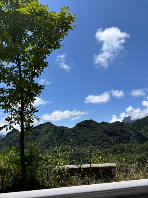 手机对太阳拍照会有留下小点图3