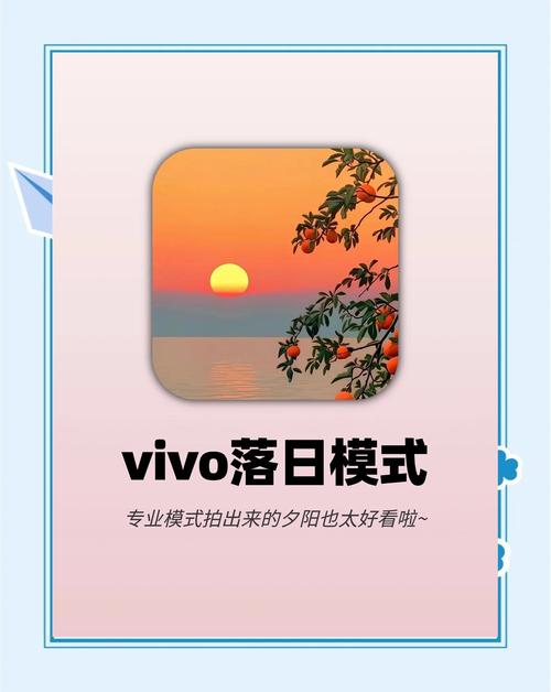 手机摄影入门教程视频图3