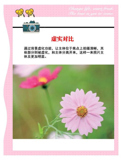 入门必学10个手机摄影技巧