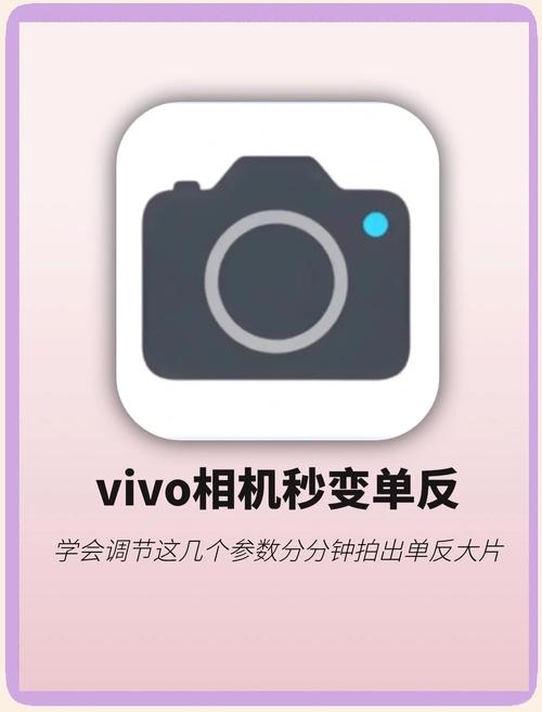 vivo手机拍照技巧视频教程图2