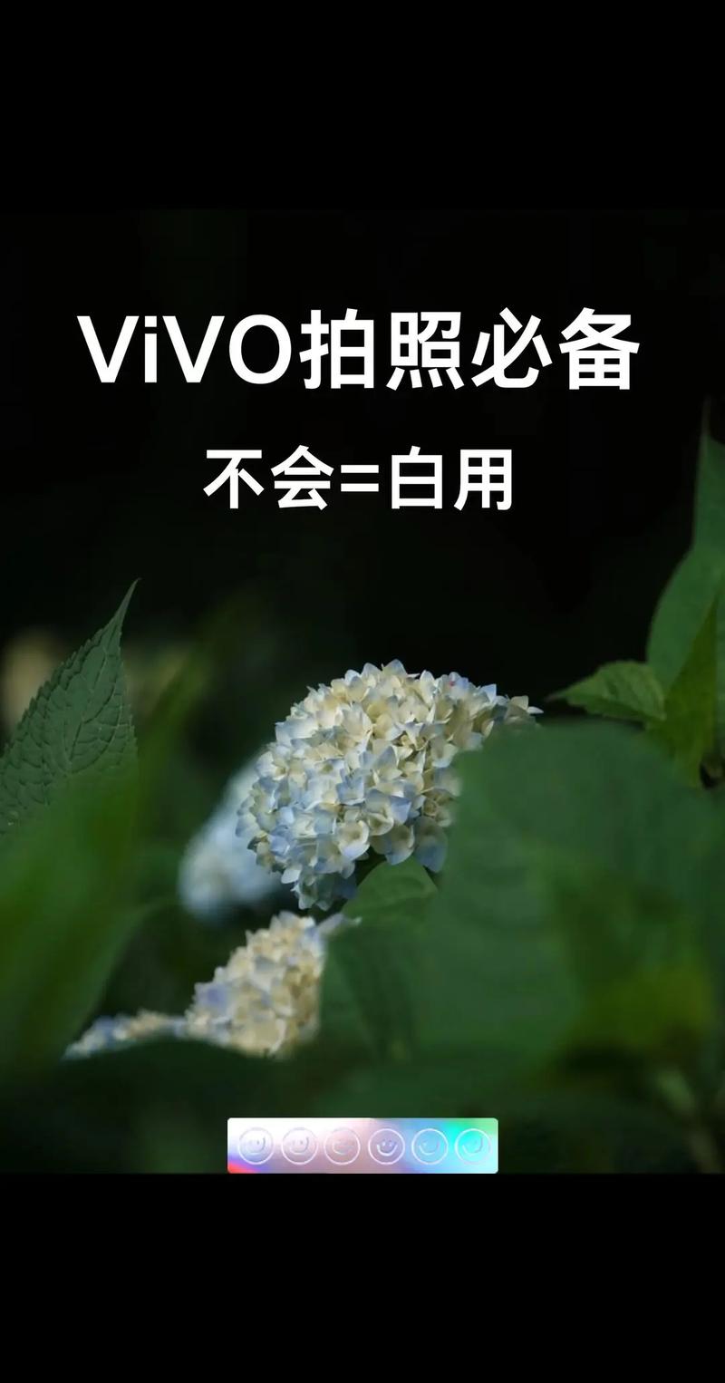vivo手机拍照技巧视频教程图3