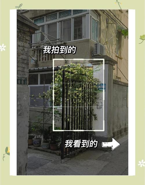 手机怎样翻拍?教你拍出一张高质量的照片