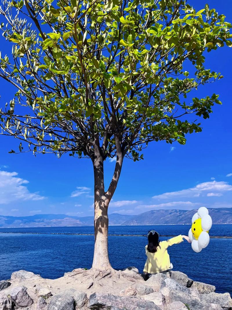 手机拍照怎样拍人和景物好看