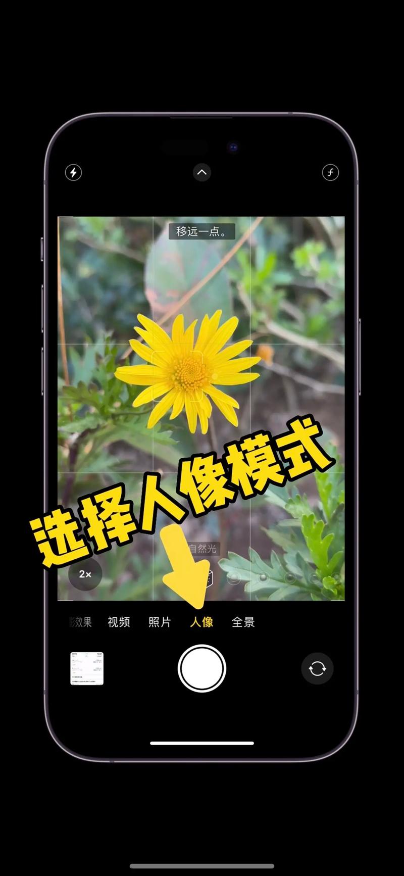 苹果手机相片怎么制作视频图1