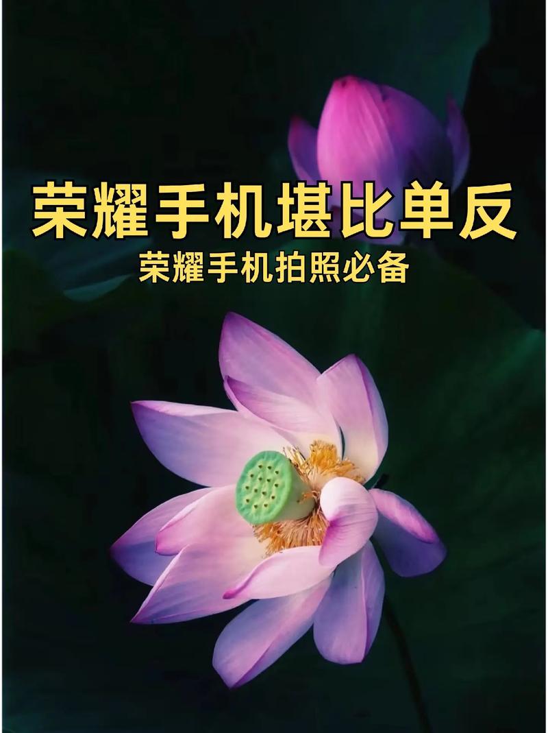 手机上照镜子图2