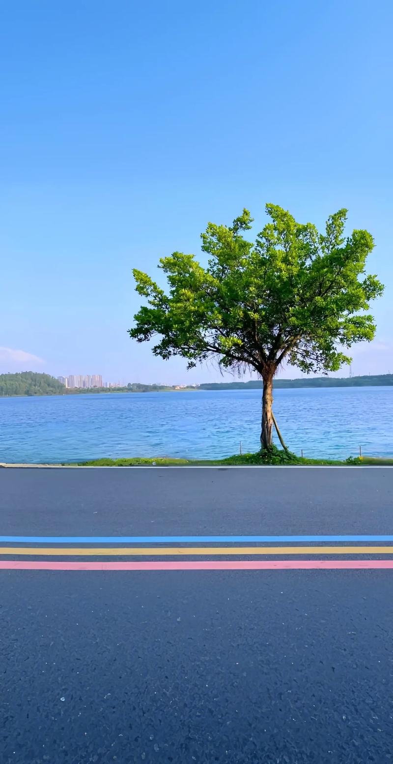 拍摄风景技巧手机图1