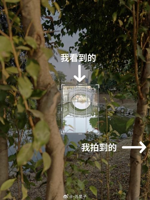 oppo手机拍照失真还模糊