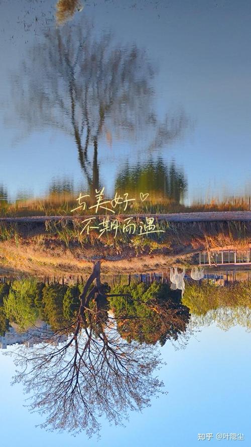 如何用手机拍好风景照图1