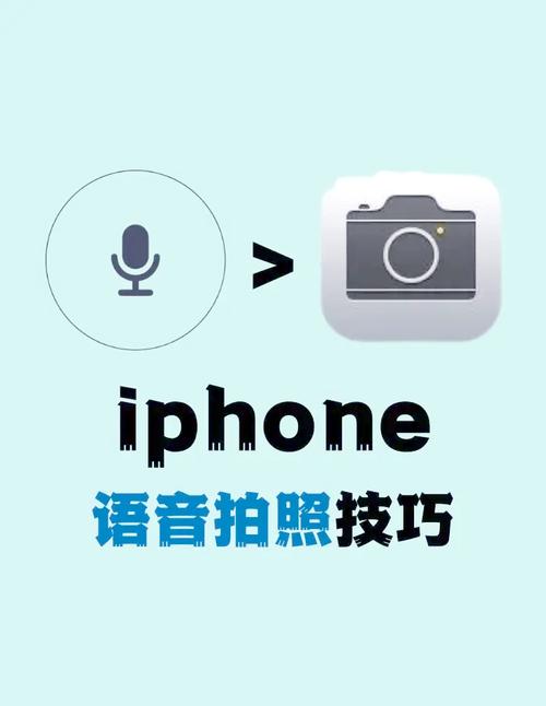 苹果手机怎么把照片做成视频还有音乐图1