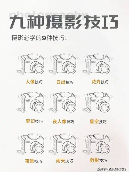 去哪里学摄影拍照