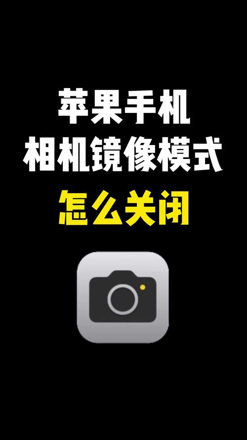 手机里的照相机没了怎么办