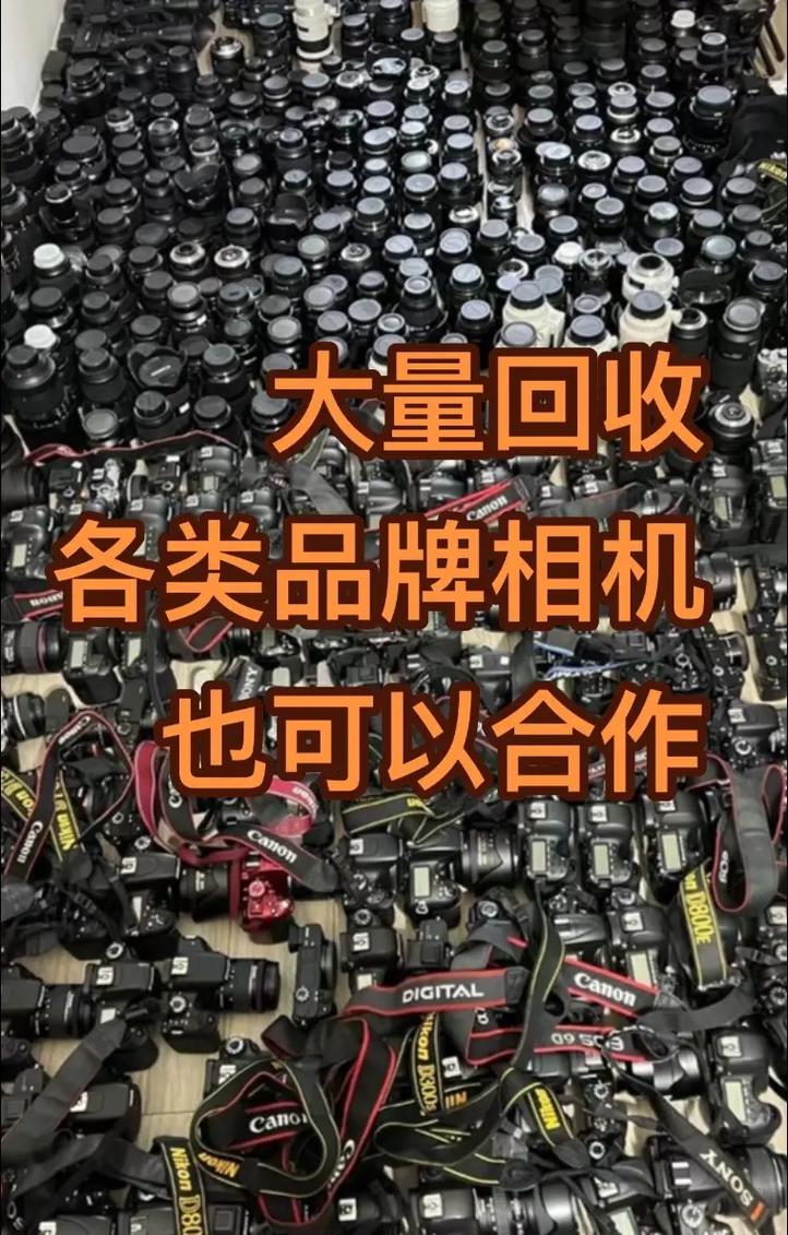 回收单反照相机