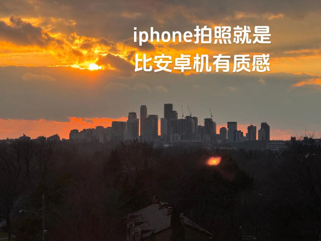 手机与照相机哪个好图1
