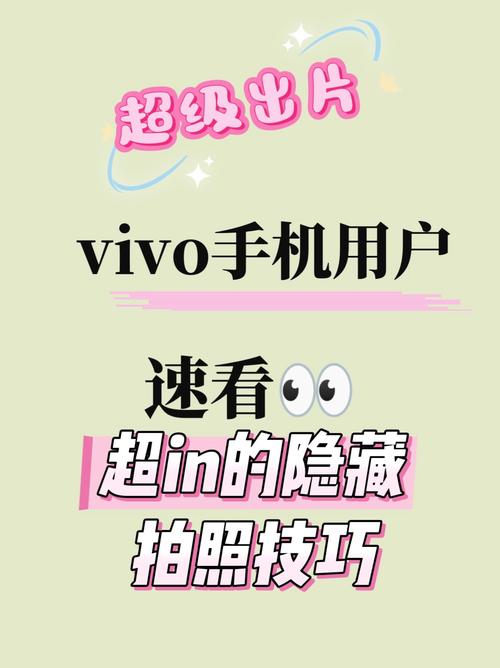vivo手机相机权限在哪里打开