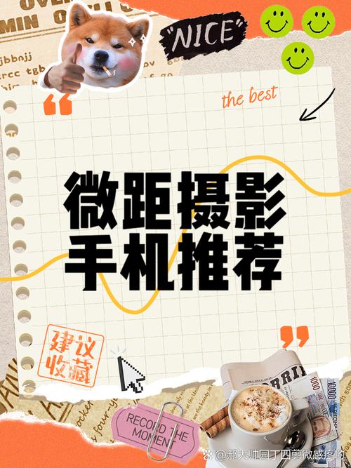 最好的拍照手机是什么手机