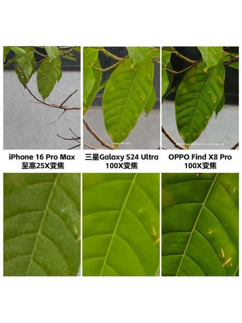 手机变焦倍数排名