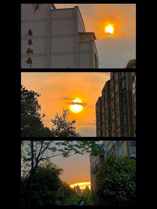 手机原本的相机