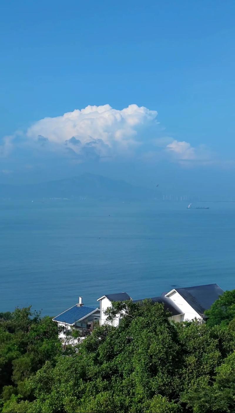 什么手机拍照效果最清晰