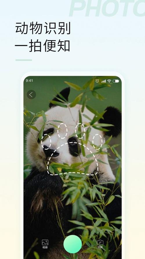 手机拍照自动识别数量软件
