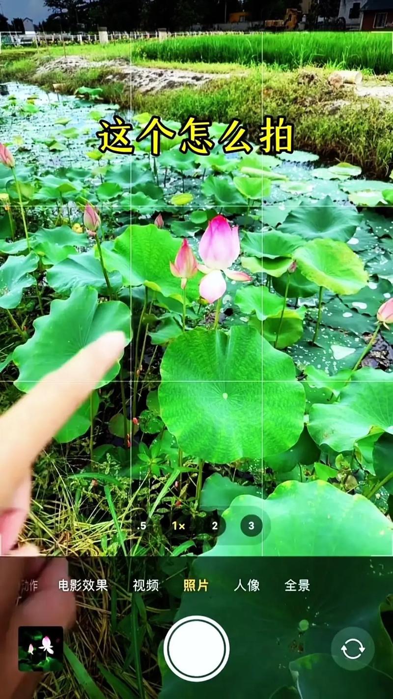 手机怎样翻拍?教你拍出一张高质量的照片