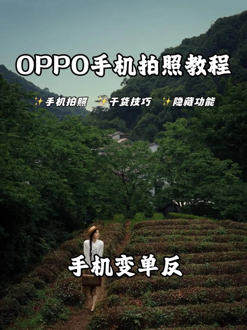 oppo手机更新了系统之后,照相功能不一样是怎么回事