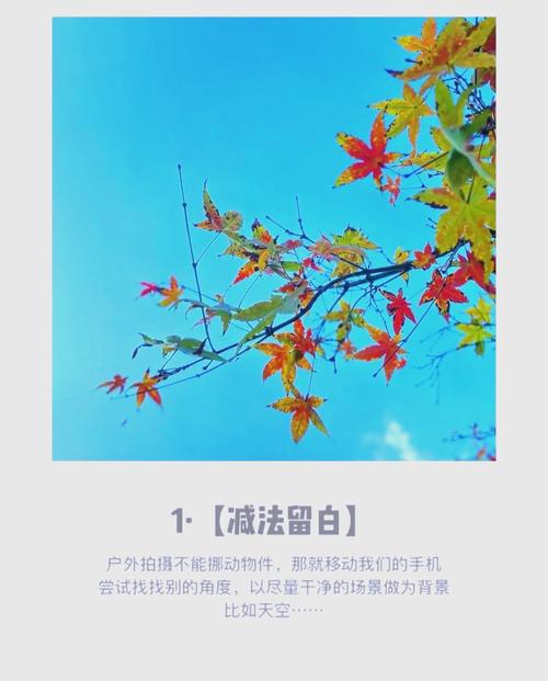 怎么用手机拍出大片,手机拍照技巧